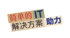 世服宏图中国（上海、北京）提供经验丰富的IT技术支援。